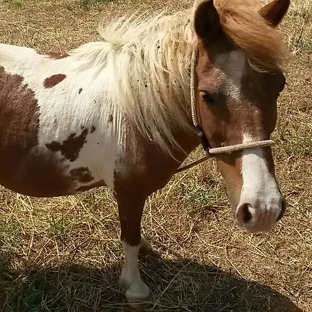 Seaview Capo Vaticano