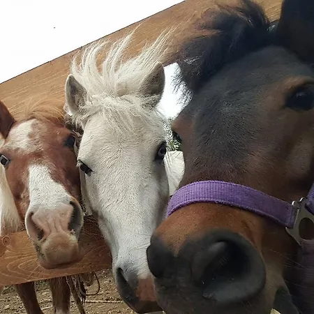 Gospodarstwo agroturystyczne Seaview Capo Vaticano