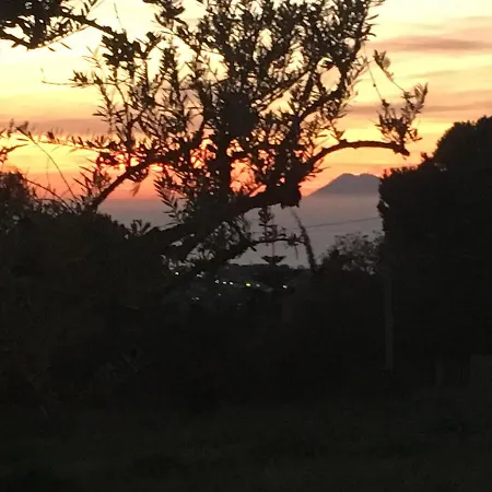 Seaview * Capo Vaticano