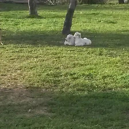 Gospodarstwo agroturystyczne Seaview *