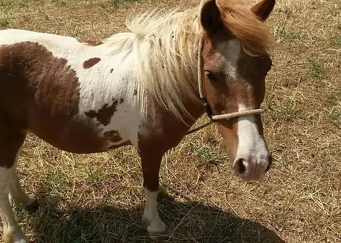 阿格里图里斯莫海景酒店 梵蒂冈角