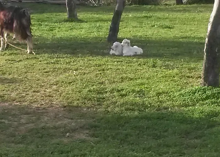 农家乐 阿格里图里斯莫海景酒店 *