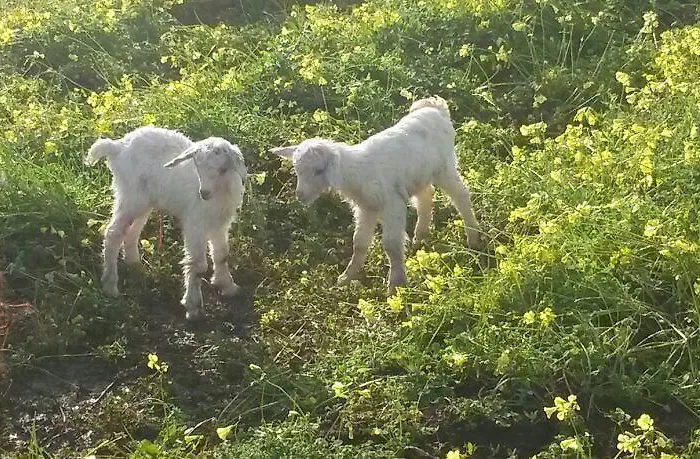 阿格里图里斯莫海景酒店 * 梵蒂冈角