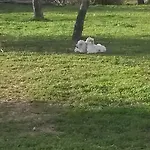 Κατάλυμα σε φάρμα Seaview *