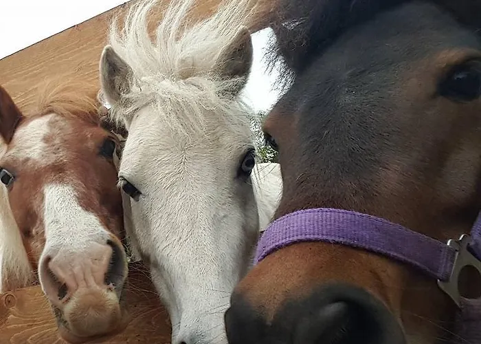 Lantgård Seaview Capo Vaticano